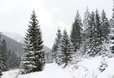 dağlarda kış yolu