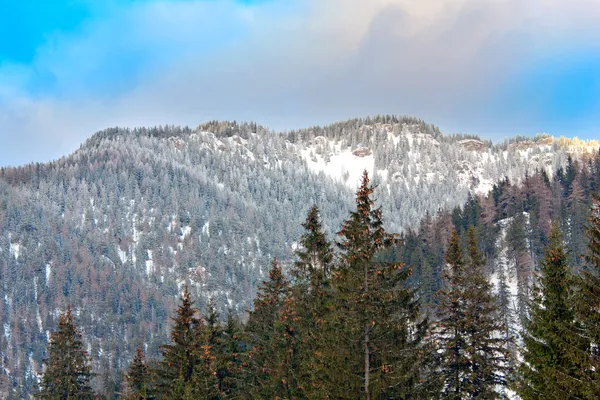 Bergsryggen — Stockfoto