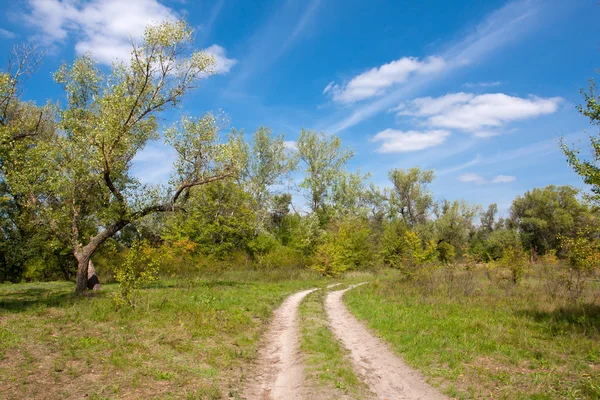 Sleur weg in de steppe — Stockfoto