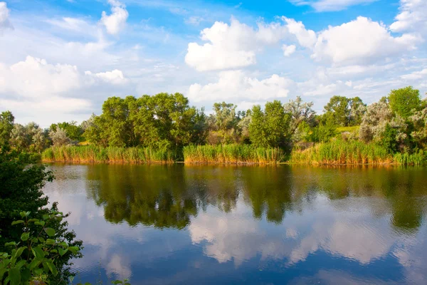 Letniej sceny na rzece — Zdjęcie stockowe