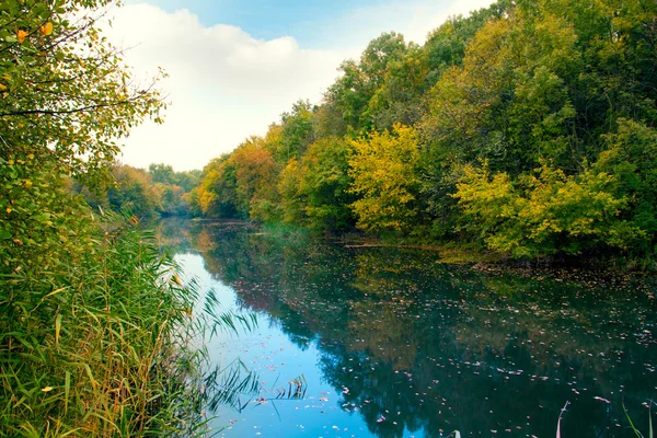 Blue river in autumn — Stock Photo, Image