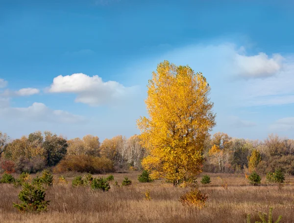 Autumn in steppe — Stock Photo, Image