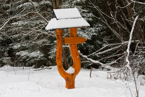 Blank direction sign in winter — Stock Photo, Image