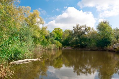 Göl kenarında güzel bir gün