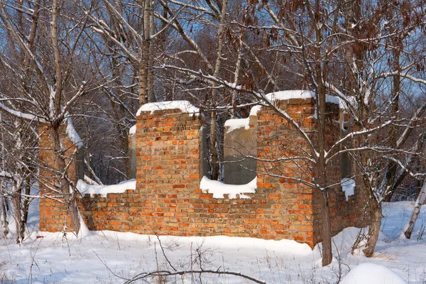 Ruinas en el bosque — Foto de Stock