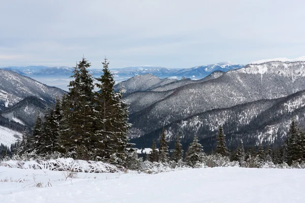 Vinterstid i fjell – stockfoto