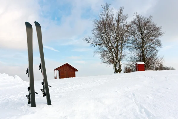 Åka skidor i snön — Stockfoto