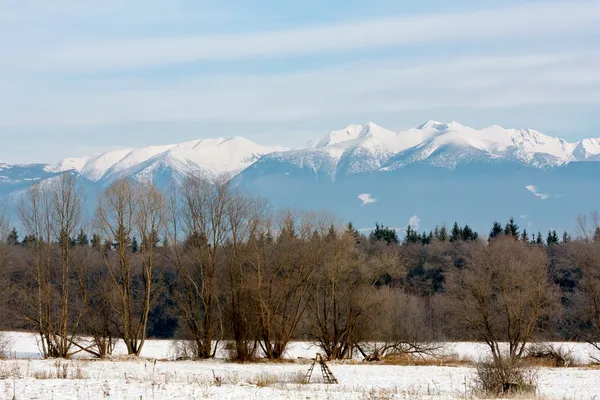 Berglandschap — Stockfoto