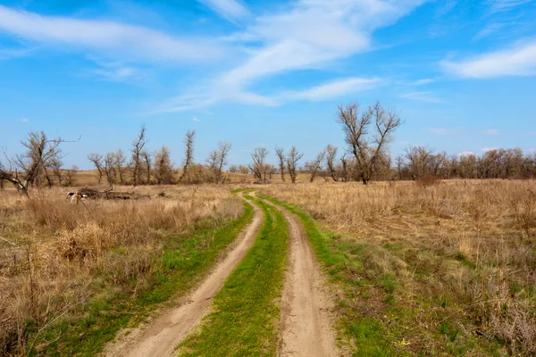 Chemin de terre à travers la steppe printanière — Photo