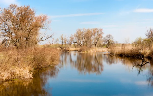 Jezero v rané době pružinou — Stock fotografie