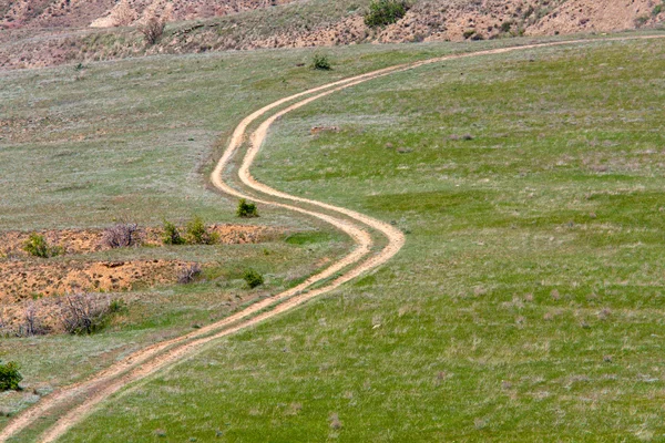 Camino en tierra verde — Foto de Stock