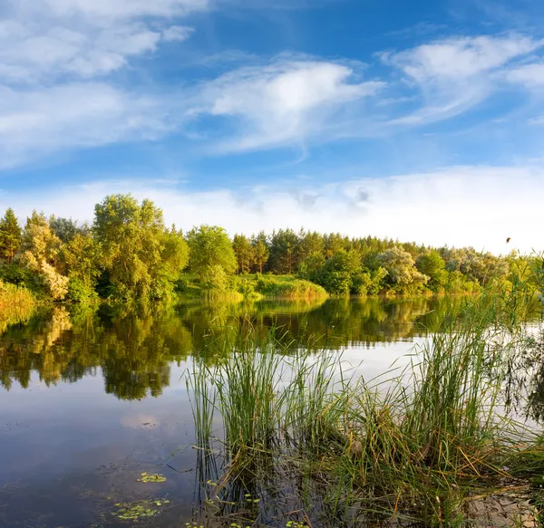 Summer scene on river — Stock Photo, Image