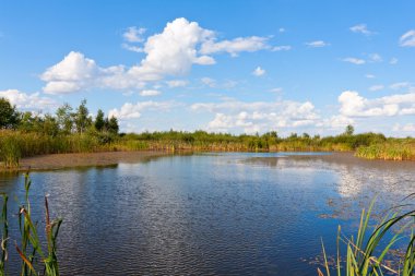 güzel bir gün gölde
