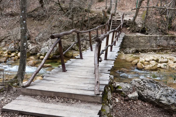 Ahşap köprü — Stok fotoğraf