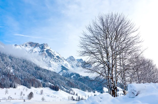 Cena de inverno em Alpes — Fotografia de Stock