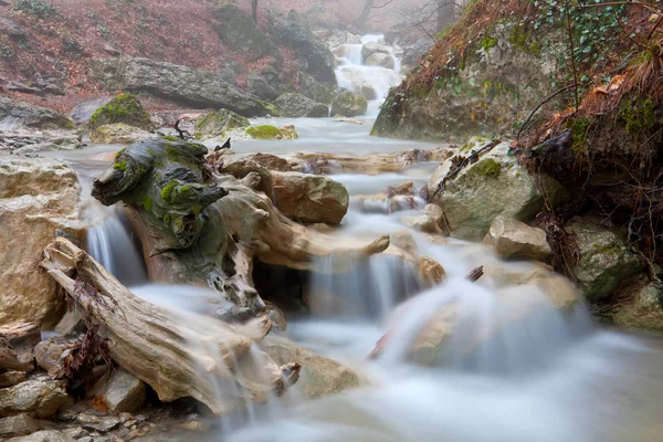 Ruscello di montagna — Foto Stock