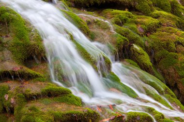 Waterwall