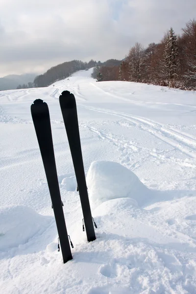 Esqui na neve — Fotografia de Stock