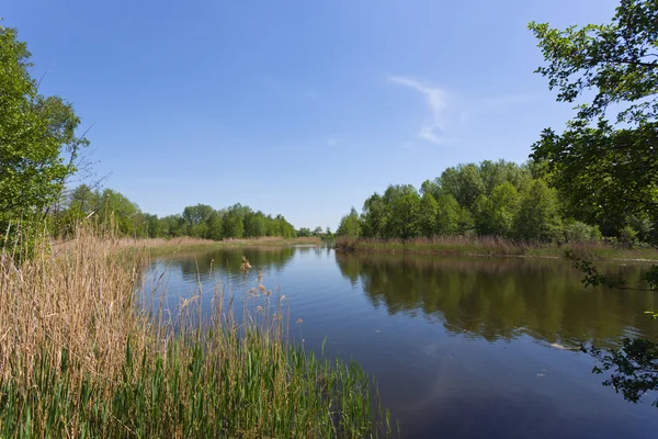 Scena lato nad jeziorem — Zdjęcie stockowe