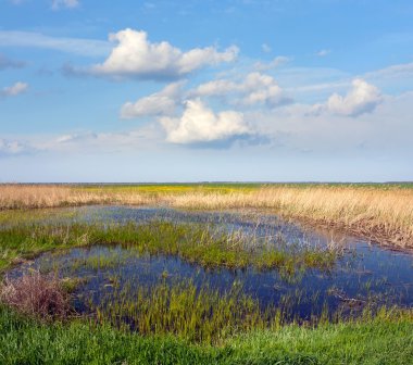 Bozkır içinde çıkmaza sokmak