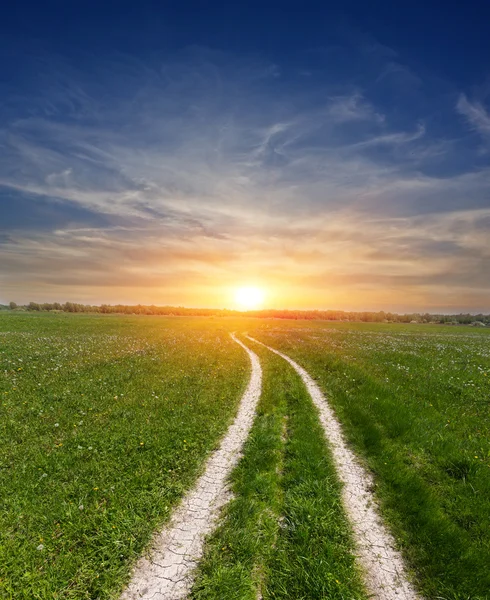 Dirt road in steppe on sunset — Stock Photo, Image