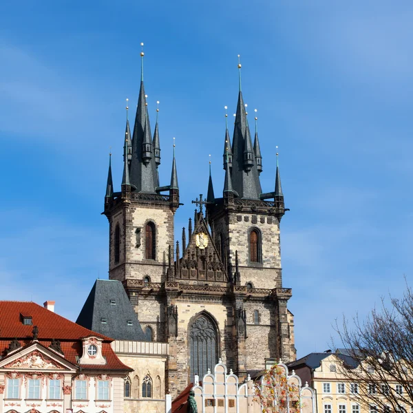 Löwenzahn — Stockfoto