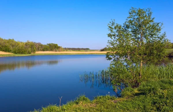 Blå sjön — Stockfoto