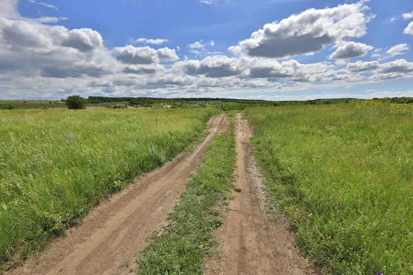 Schöne Szene in der Steppe — Stockfoto