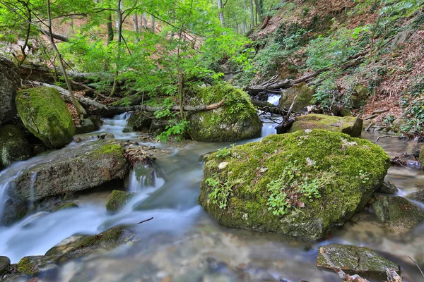 Górski potok wśród zielonych kamieni — Zdjęcie stockowe