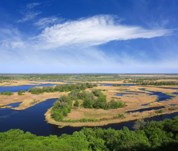 Delta river in nice day — Stock Photo, Image