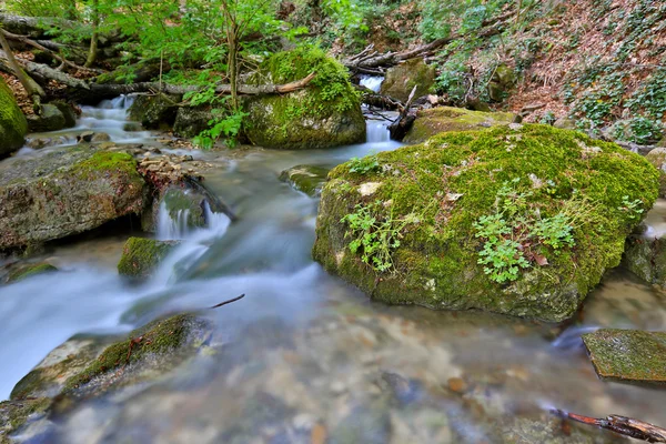 Mountain brook — Stok fotoğraf