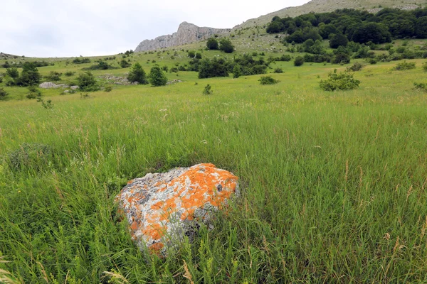 Oude stenen in gras — Stockfoto
