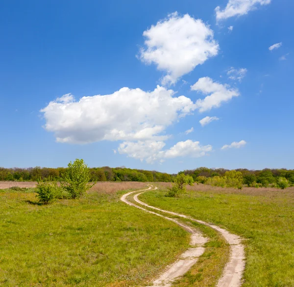 Sleur weg in de steppe — Stockfoto