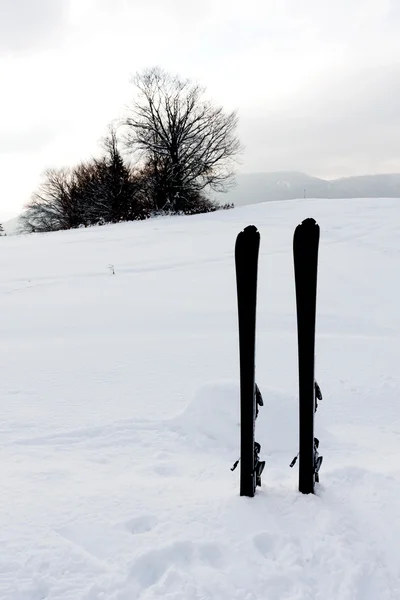 Лыжи в снегу — стоковое фото