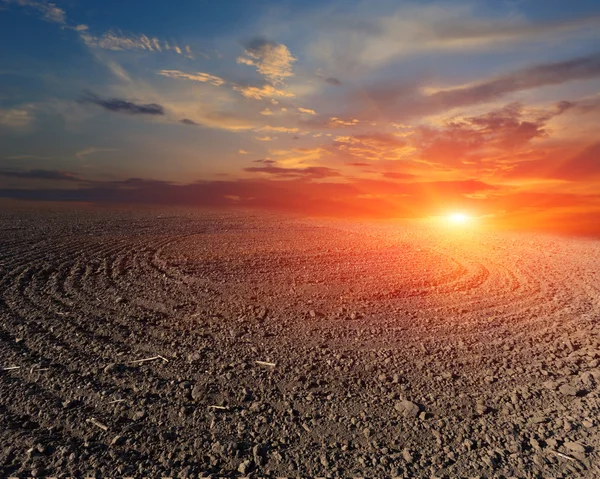 Pôr do sol sobre o campo arado — Fotografia de Stock