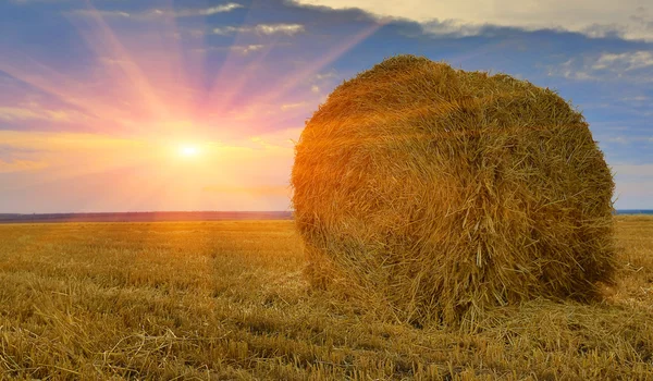 Hay-roll on meadow against sunset background — Stock Photo, Image