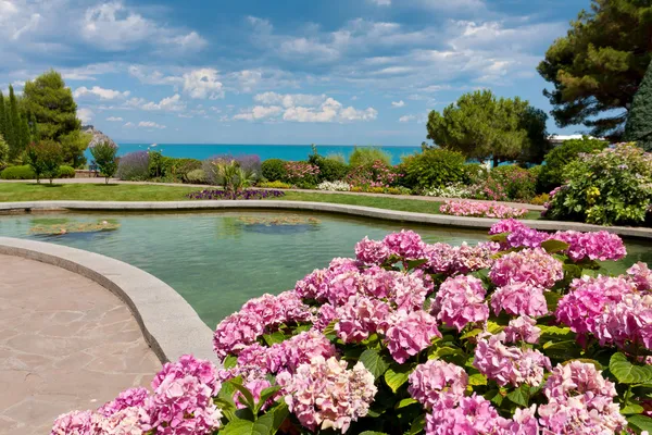 Fiori vicino stagno nel parco — Foto Stock