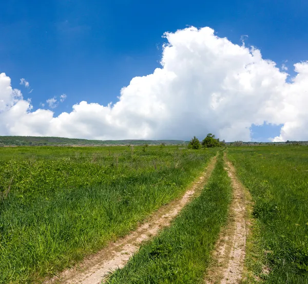 Sleur weg in de steppe — Stockfoto