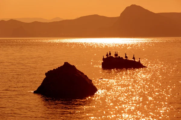 Zomer scène op zee — Stockfoto