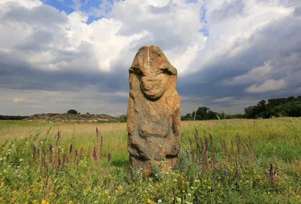 Stine Idol in der Steppe — Stockfoto