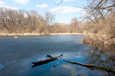 Göl kenarında erken Bahar