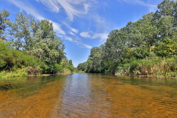 Fiume estivo — Foto Stock