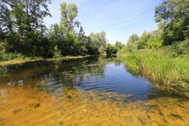Yaz sahne Nehri üzerinde