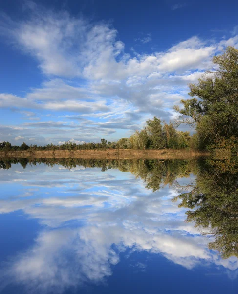 Autumn scene in forest with water reflection — Stock Photo, Image