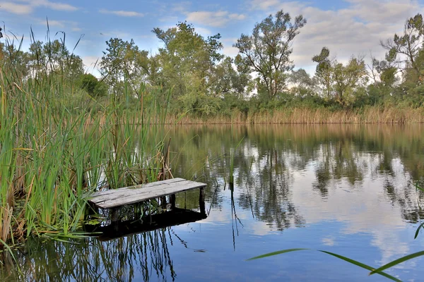 Zona di pesca sul fiume — Foto Stock