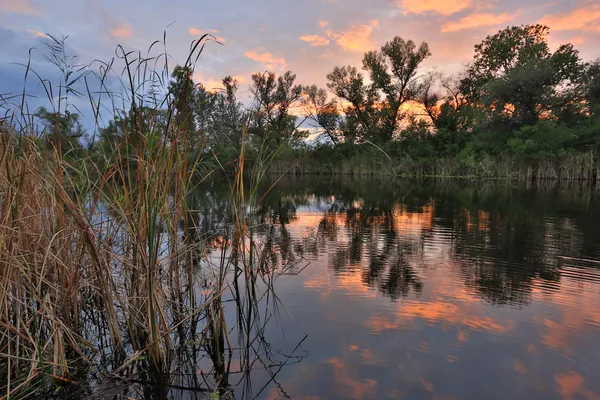 Scena serale sul fiume — Foto Stock