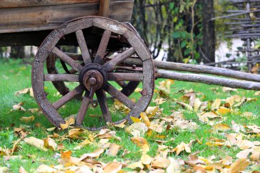 güzel manzara wih nehirde sonbahar