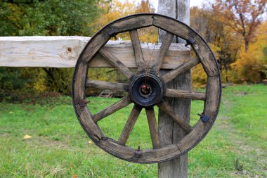 güzel manzara wih nehirde sonbahar