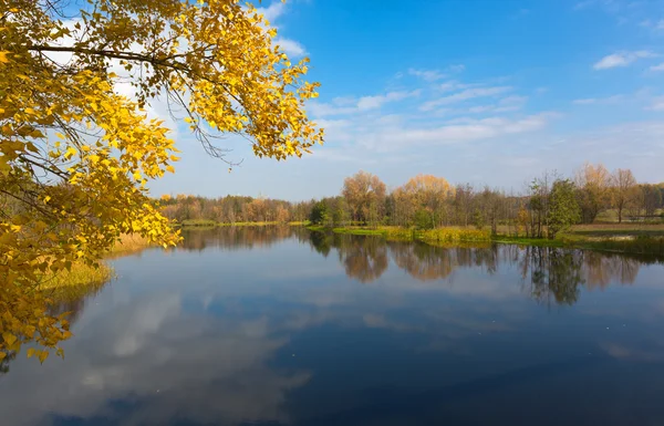 Autumn branch over lake — Stock Photo, Image