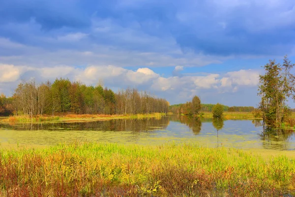 Palude in giorno di autunno — Foto Stock